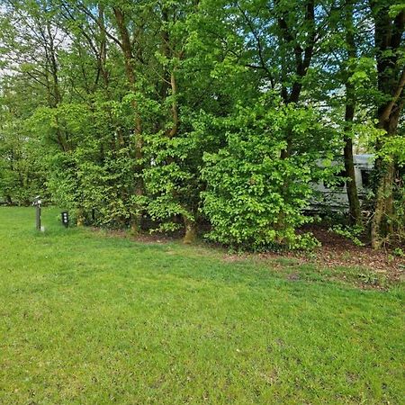 Camping Alkenhaer Appelscha Lege Kampeerplaats Exterior photo